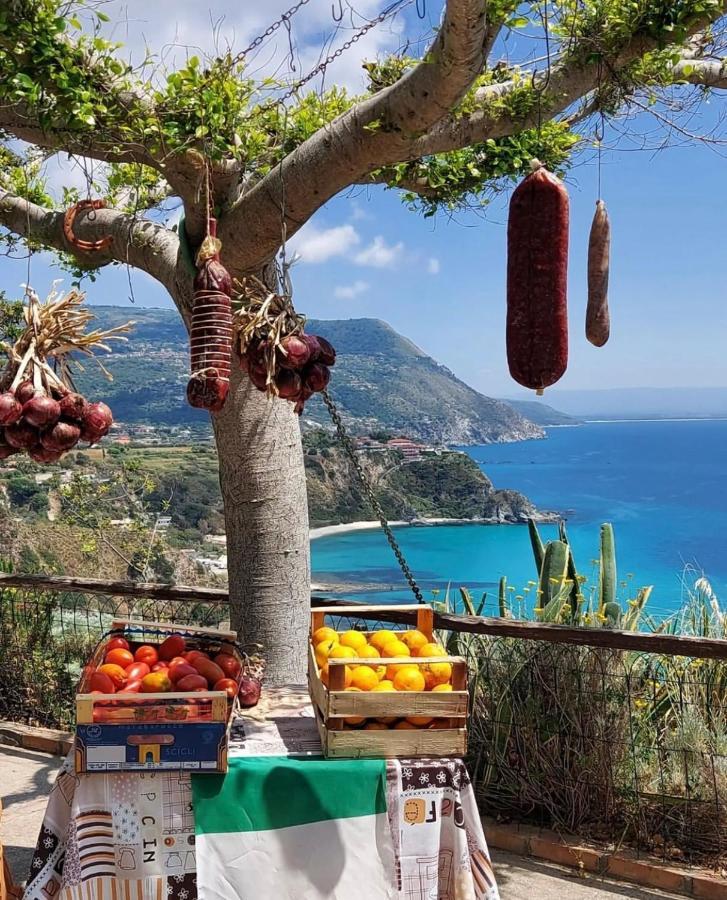 Il Giardino Di Capo Vaticano B&B And Apartments Zewnętrze zdjęcie