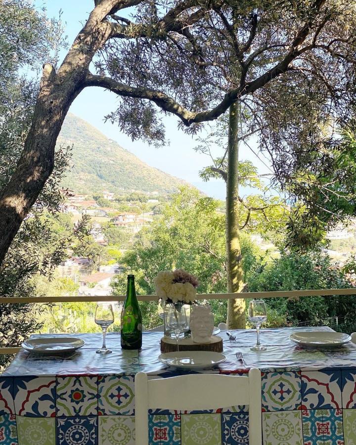 Il Giardino Di Capo Vaticano B&B And Apartments Zewnętrze zdjęcie