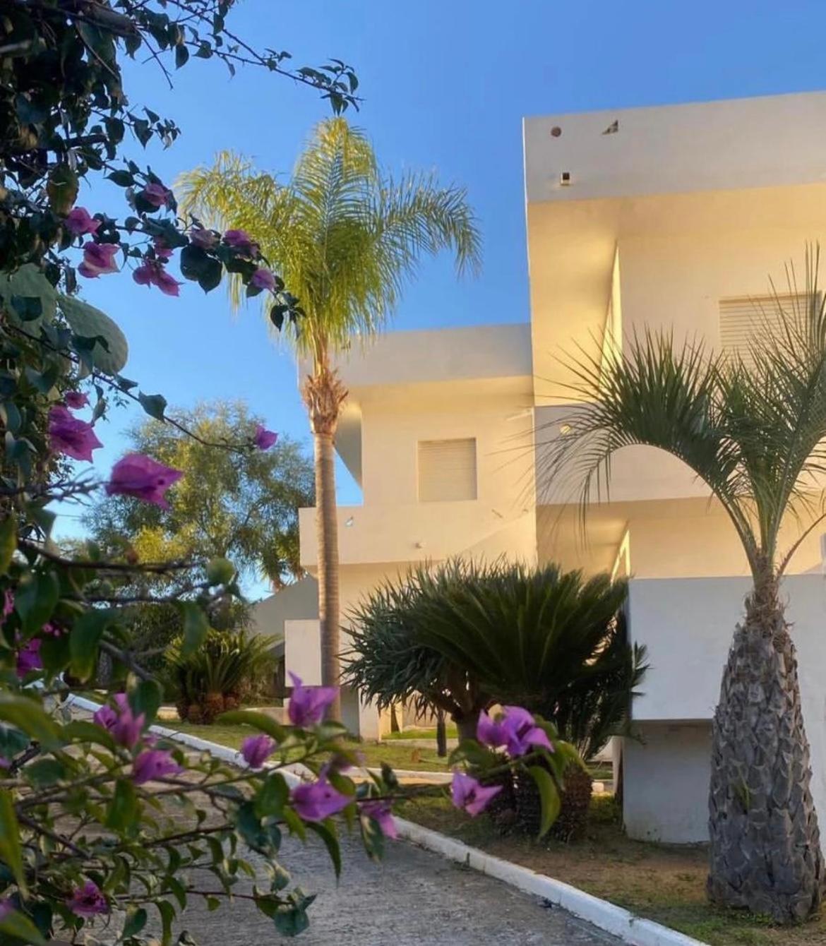 Il Giardino Di Capo Vaticano B&B And Apartments Zewnętrze zdjęcie