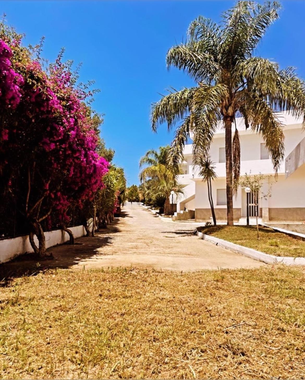 Il Giardino Di Capo Vaticano B&B And Apartments Zewnętrze zdjęcie